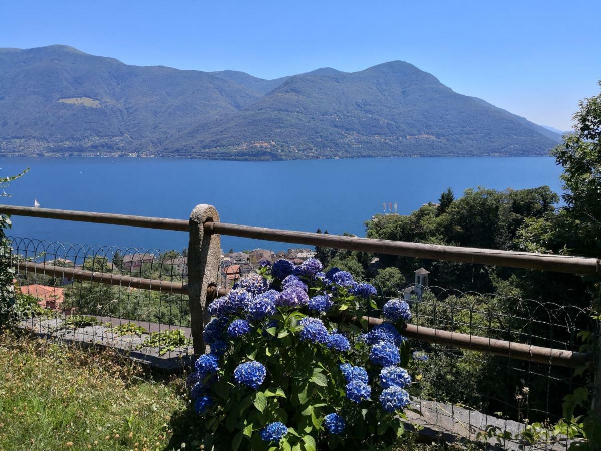 Brilago 1 Brissago Eksteriør billede